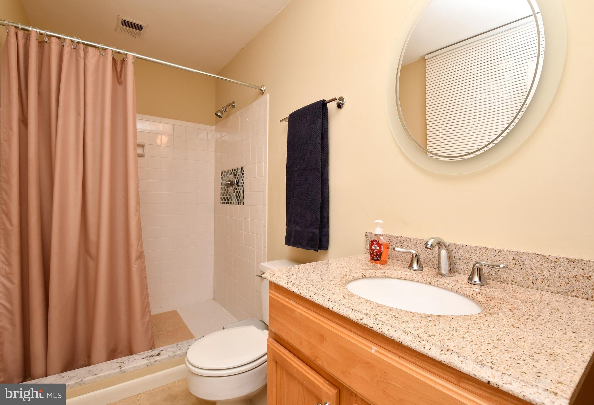 7249 Ridgeway Drive Manassas, VA 20112 - Photo 28 of 48 Basement Bathroom