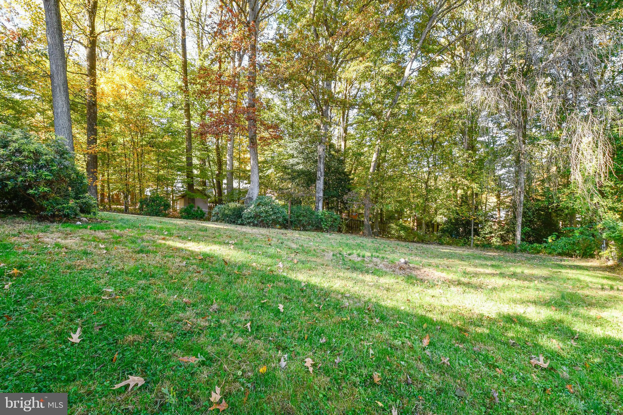 7249 Ridgeway Drive Manassas, VA 20112 - Photo 47 of 48 Large Backyard
