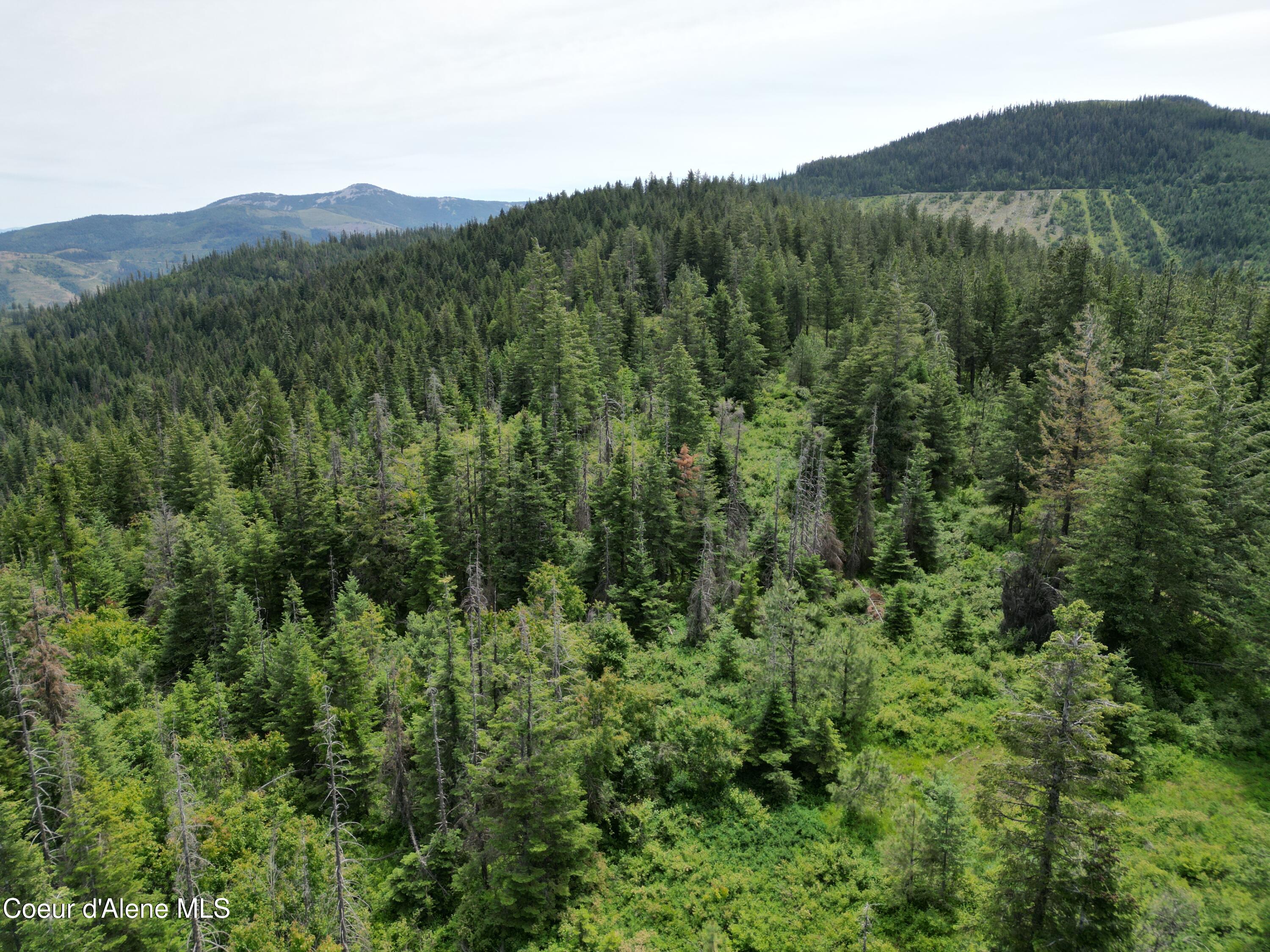 Nka Initial Peak Road Cataldo, ID 83810 - Photo 4 of 18 NKA Initial