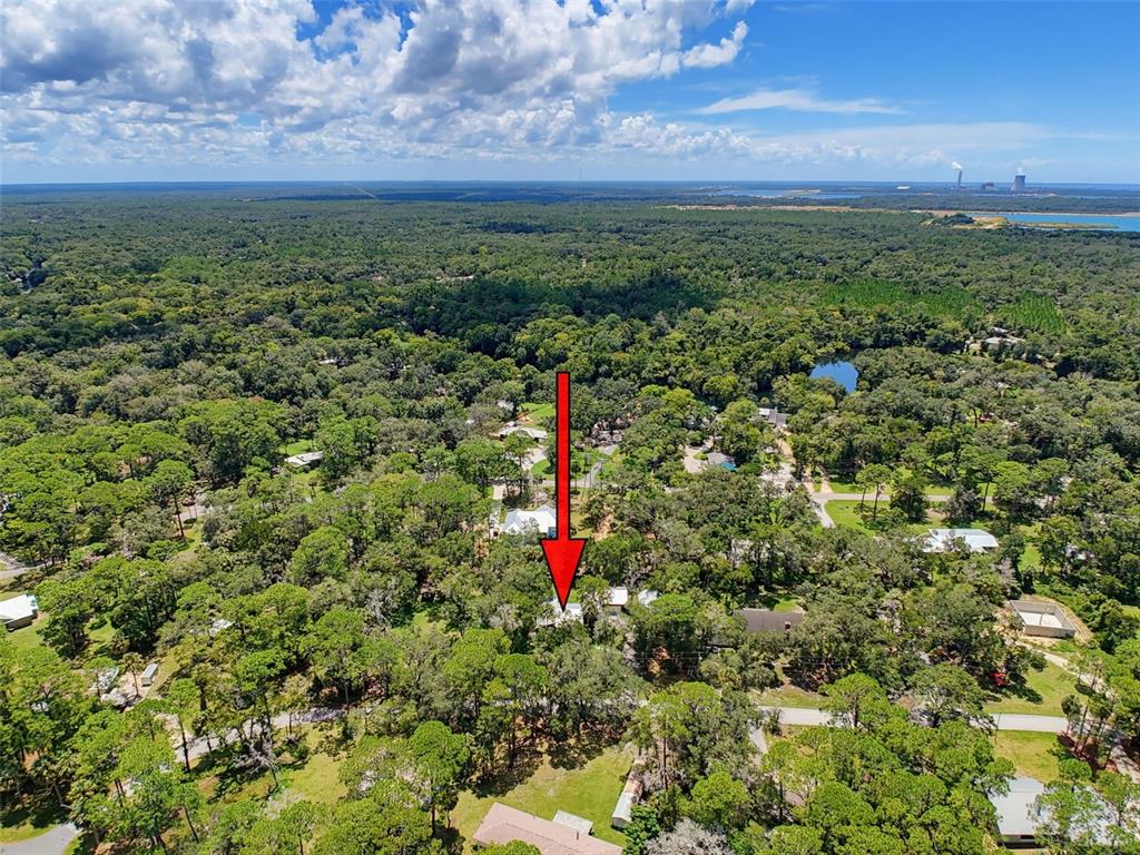 11 Patricia Road Yankeetown, FL 34498 - Photo 84 of 87 Gallery Image 84
