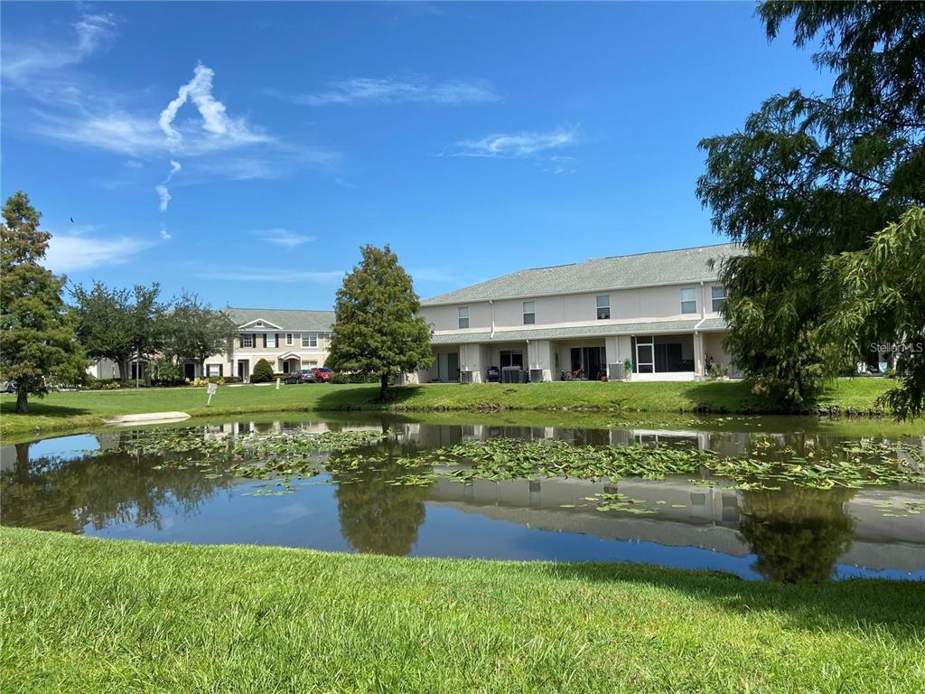 16410 Swan View Circle Odessa, FL 33556 - Photo 19 of 21