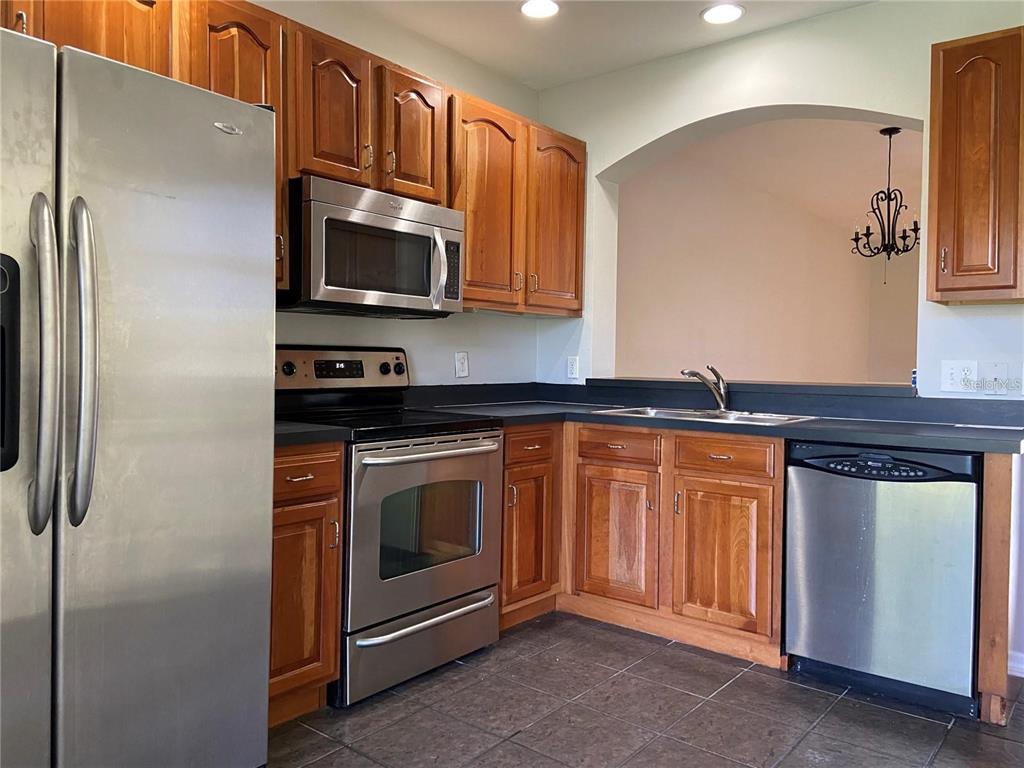 16410 Swan View Circle Odessa, FL 33556 - Photo 6 of 21