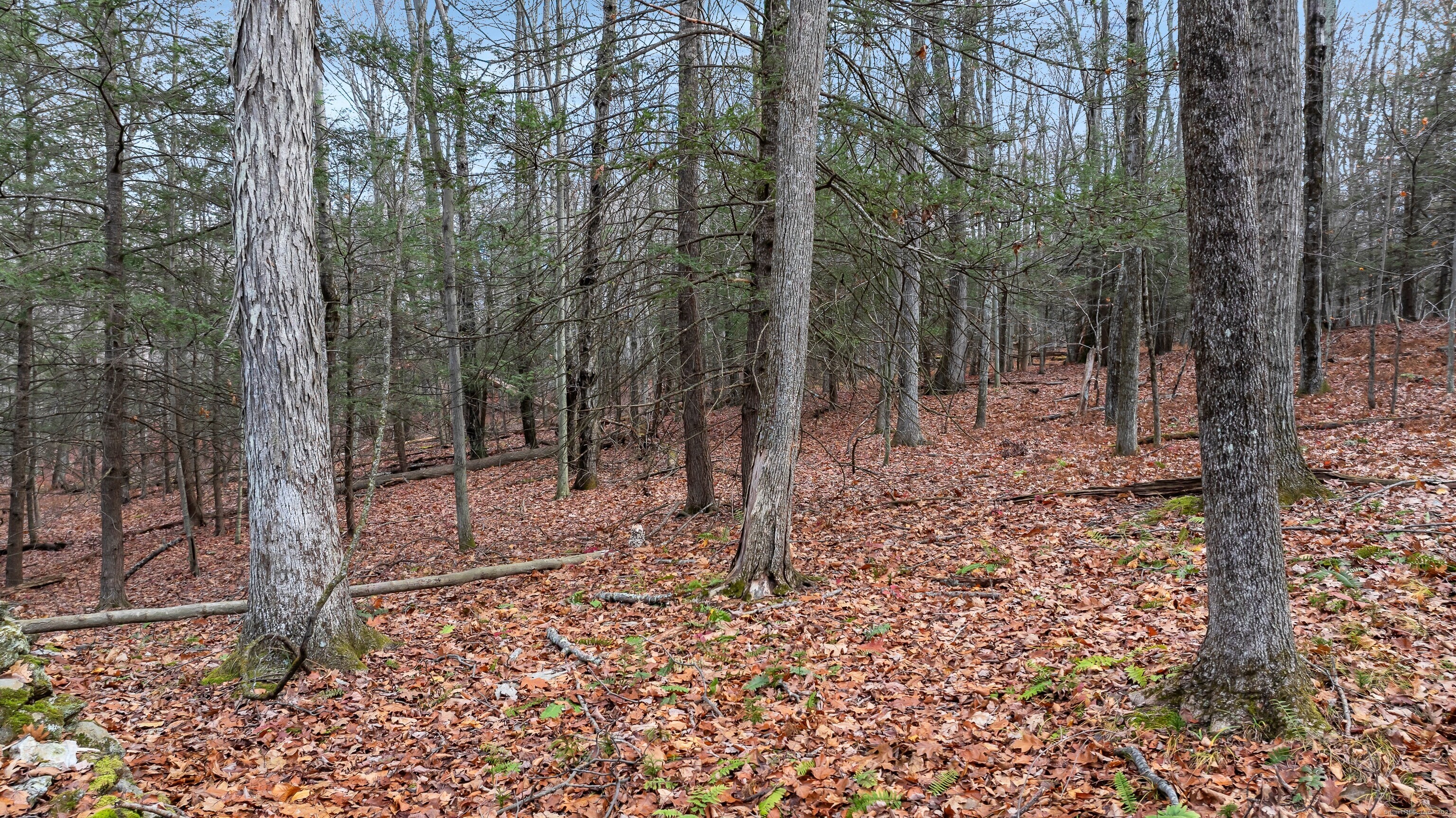 204 North Street, Unit LOT 3 Roxbury, CT 06783 - Photo 3 of 16