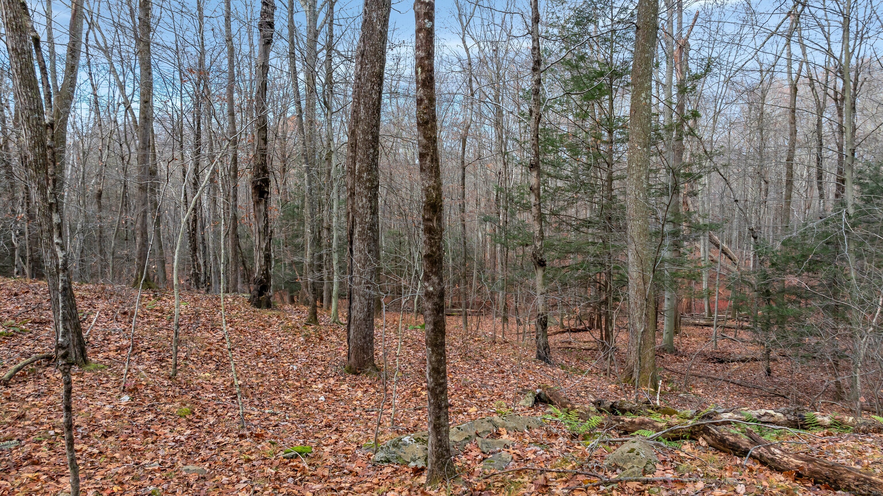 204 North Street, Unit LOT 3 Roxbury, CT 06783 - Photo 4 of 16