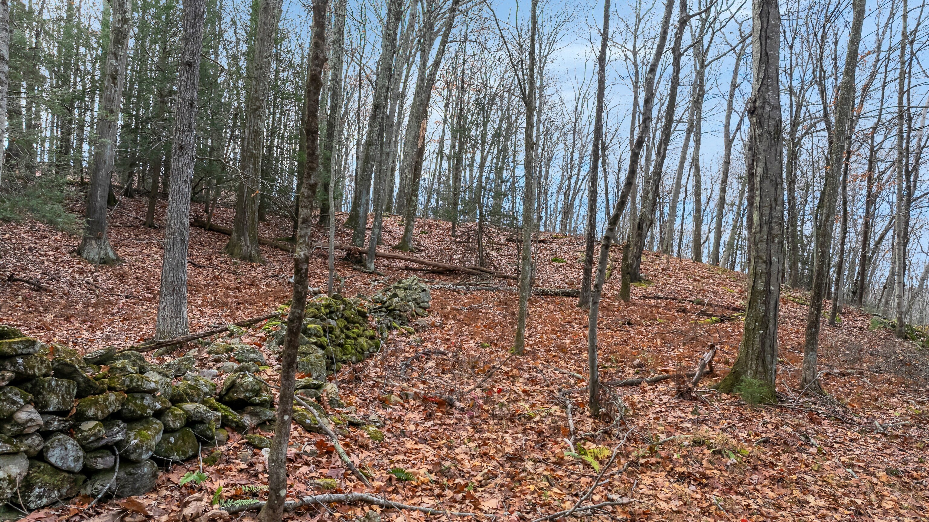 204 North Street, Unit LOT 3 Roxbury, CT 06783 - Photo 7 of 16
