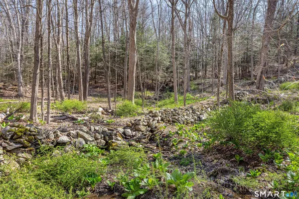 a view of a forest with trees in the background