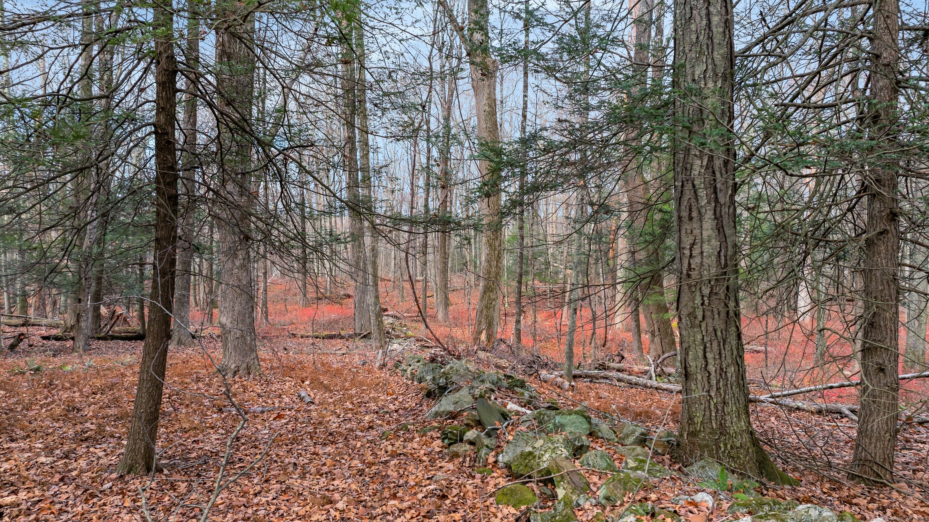 204 North Street, Unit LOT 3 Roxbury, CT 06783 - Photo 8 of 16