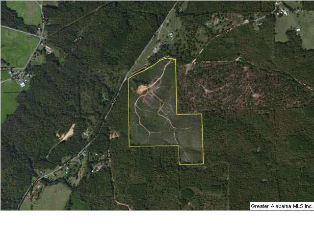 286 County Road, Unit 85 Collinsville, AL 35961 - Photo 23 of 23