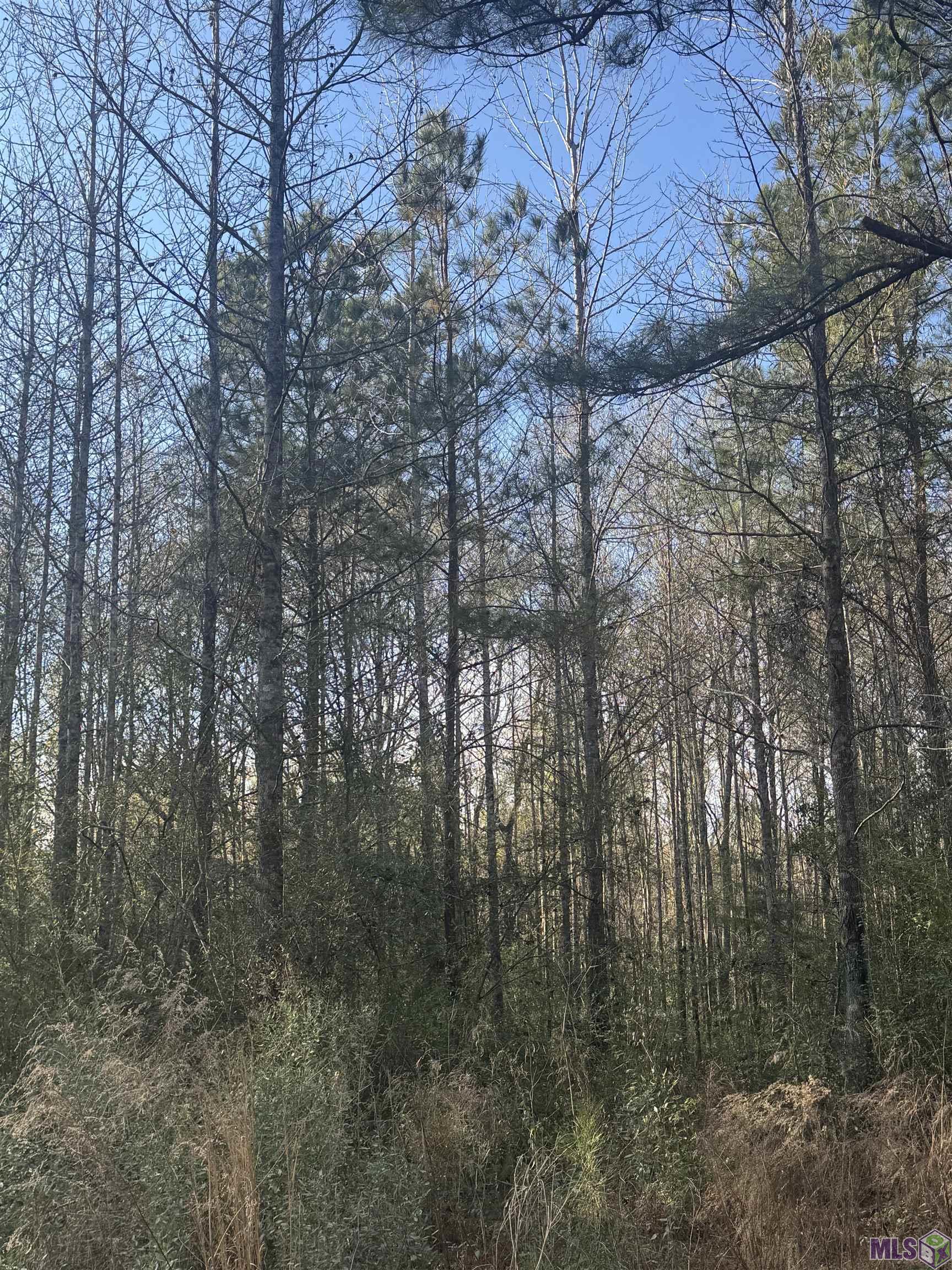 5903 Line Road Ethel, LA 70730 - Photo 11 of 13