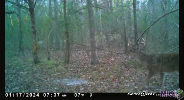 $124,000 | 5903 Line Road, Ethel, LA 70730