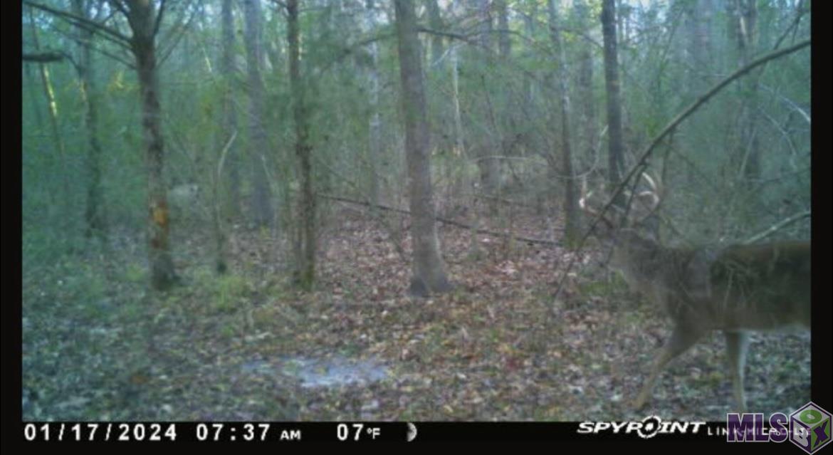 5903 Line Road Ethel, LA 70730 - Photo 13 of 13