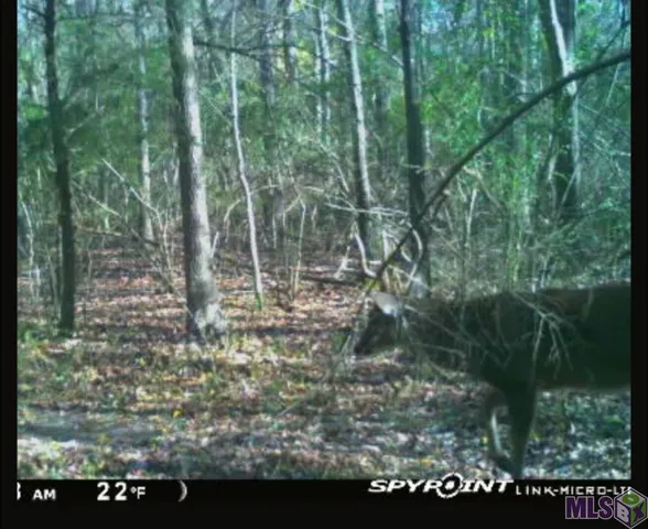 $118,000 | 5903 Line Road, Ethel, LA 70730