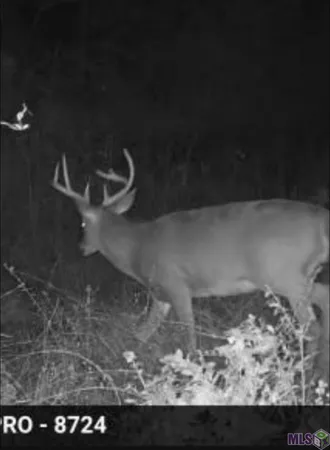 $118,000 | 5903 Line Road, Ethel, LA 70730