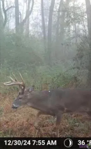 $124,000 | 5903 Line Road, Ethel, LA 70730