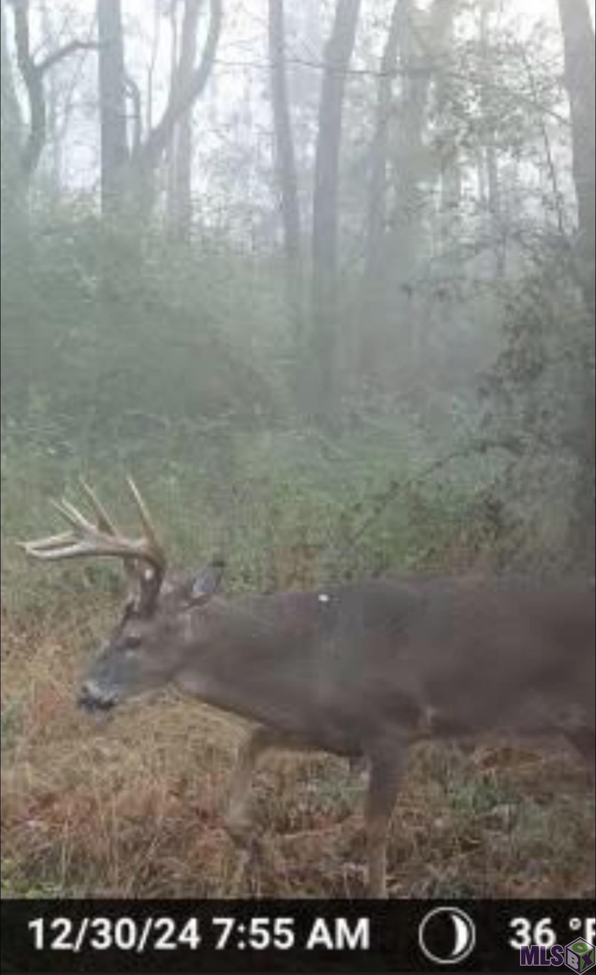 5903 Line Road Ethel, LA 70730 - Photo 5 of 13