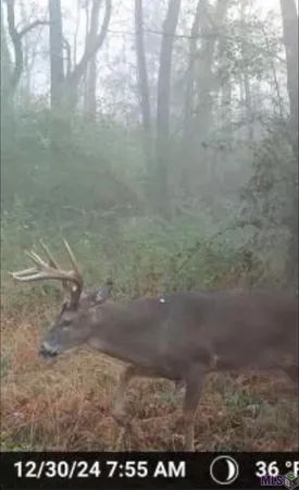 $118,000 | 5903 Line Road, Ethel, LA 70730