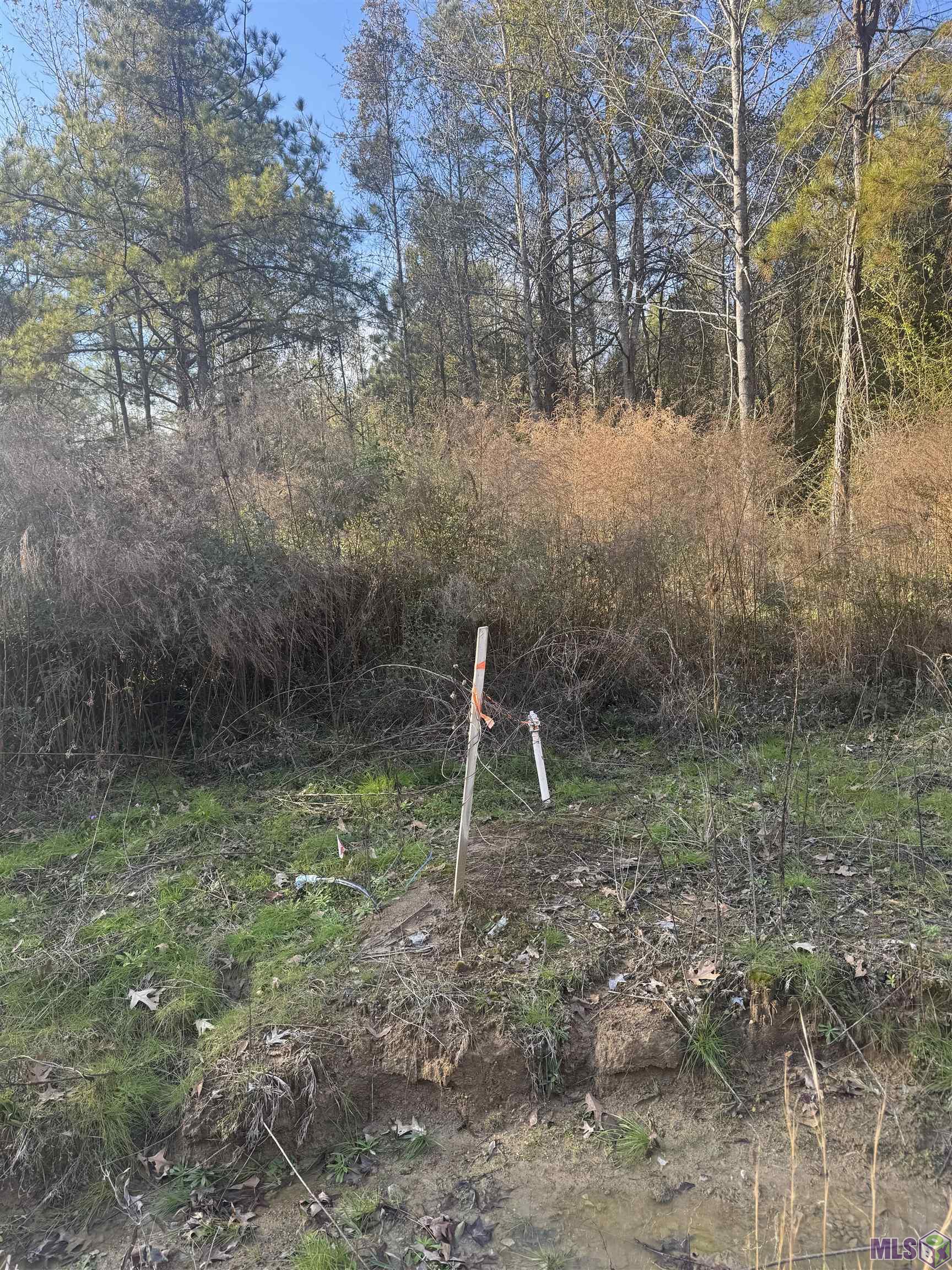 5903 Line Road Ethel, LA 70730 - Photo 6 of 13