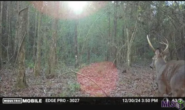 $124,000 | 5903 Line Road, Ethel, LA 70730