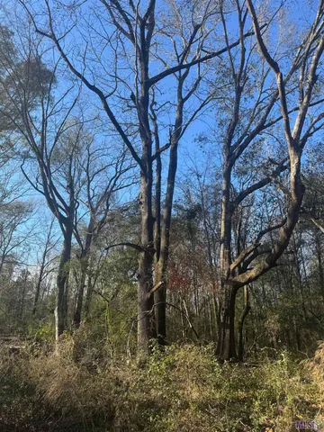 $124,000 | 5903 Line Road, Ethel, LA 70730