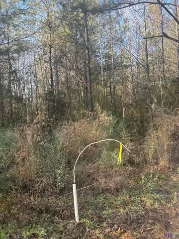 $124,000 | 5903 Line Road, Ethel, LA 70730