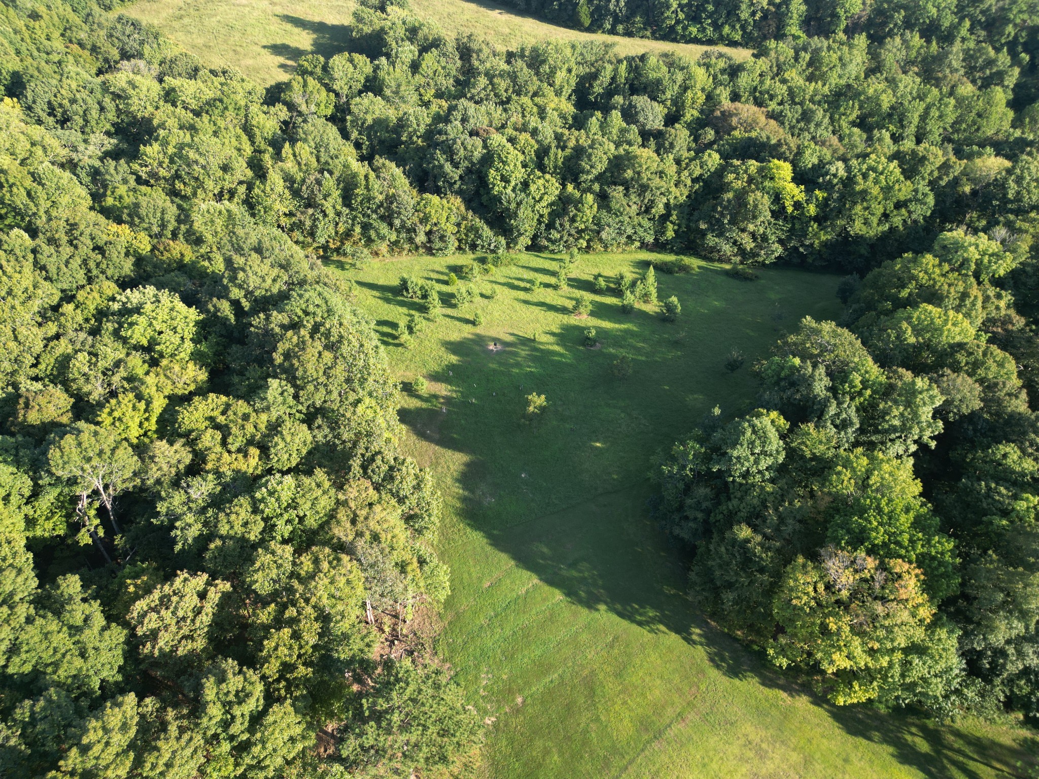 160 Turkey Ridge Road Big Rock, TN 37023 - Photo 9 of 88 Gallery Image 9