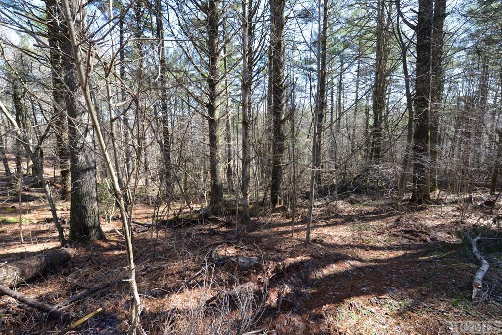 On View Point Road Highlands, NC 28741 - Photo 2 of 7 Gallery Image 2