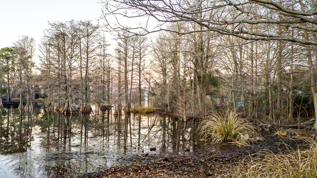 $699,000 | 402 Knott Drive, Eutawville, SC 29048