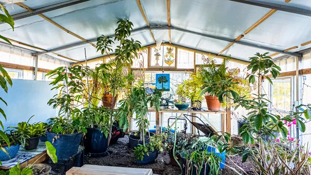 $699,000 | 402 Knott Drive, Eutawville, SC 29048