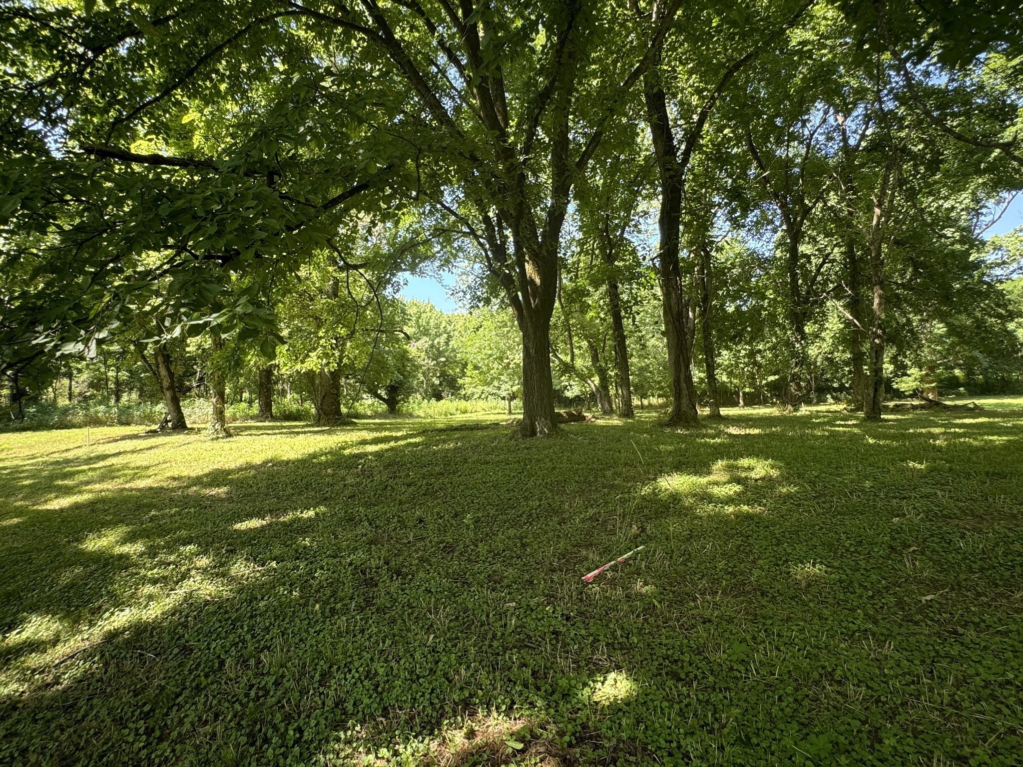 a view of outdoor space with green field and trees