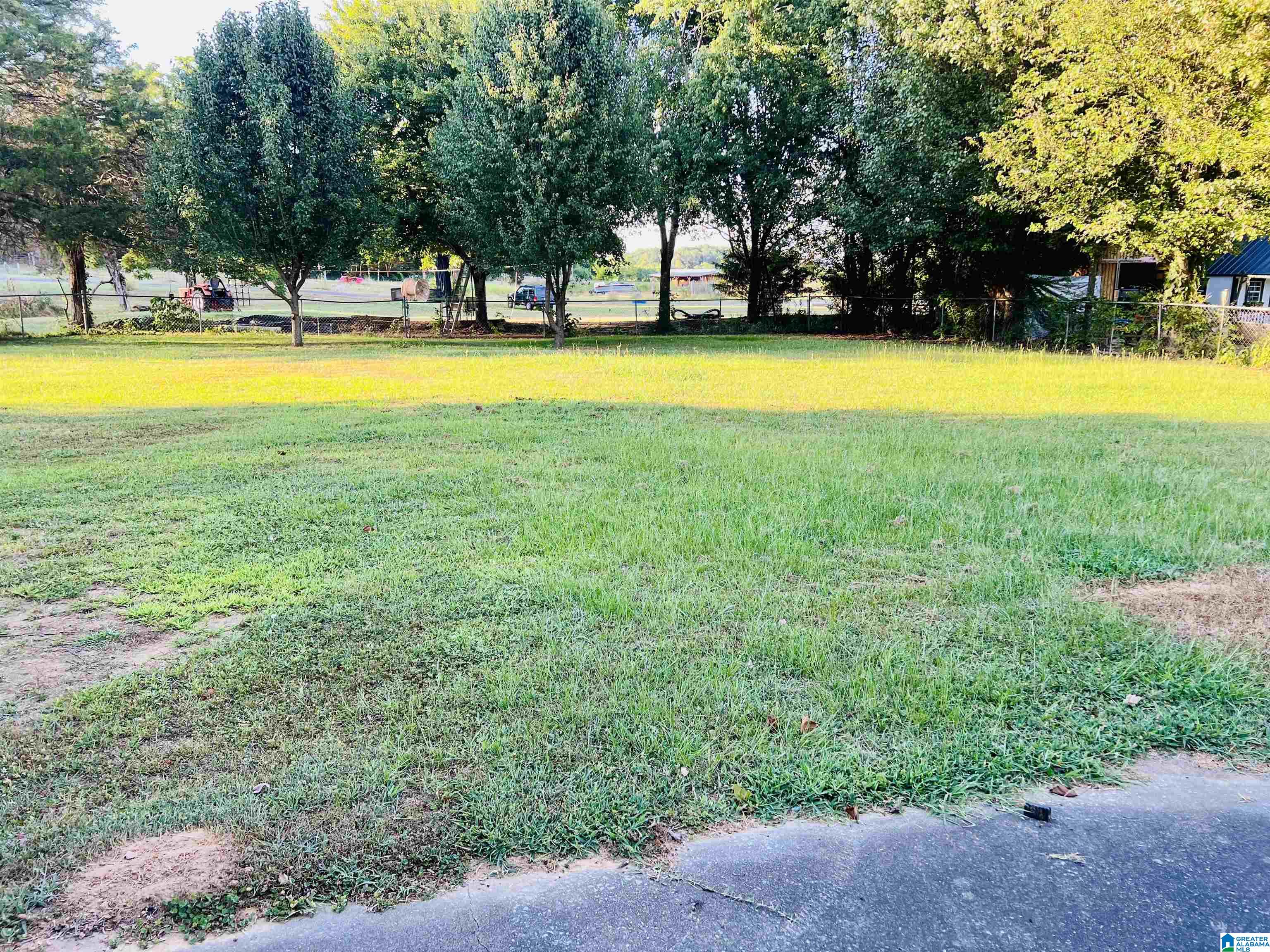 1245 West Lacon Road Falkville, AL 35622 - Photo 3 of 19