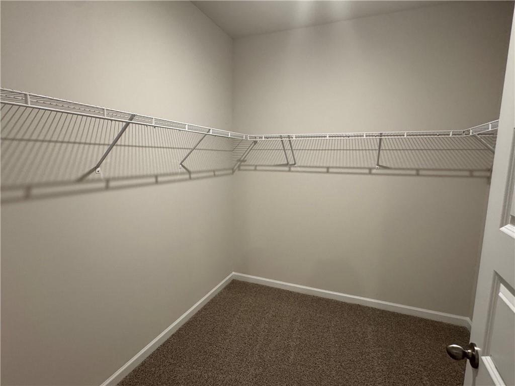 147 Oakchase Pk Lane Hampton, GA 30228 - Photo 30 of 43