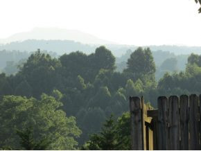 205 Free Hill Road Gray, TN 37615 - Photo 23 of 24 View From Great Room Back