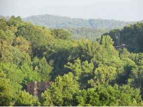 205 Free Hill Road Gray, TN 37615 - Photo 24 of 24 View From Front
