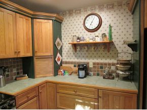 205 Free Hill Road Gray, TN 37615 - Photo 9 of 24 Tile Counter Tops