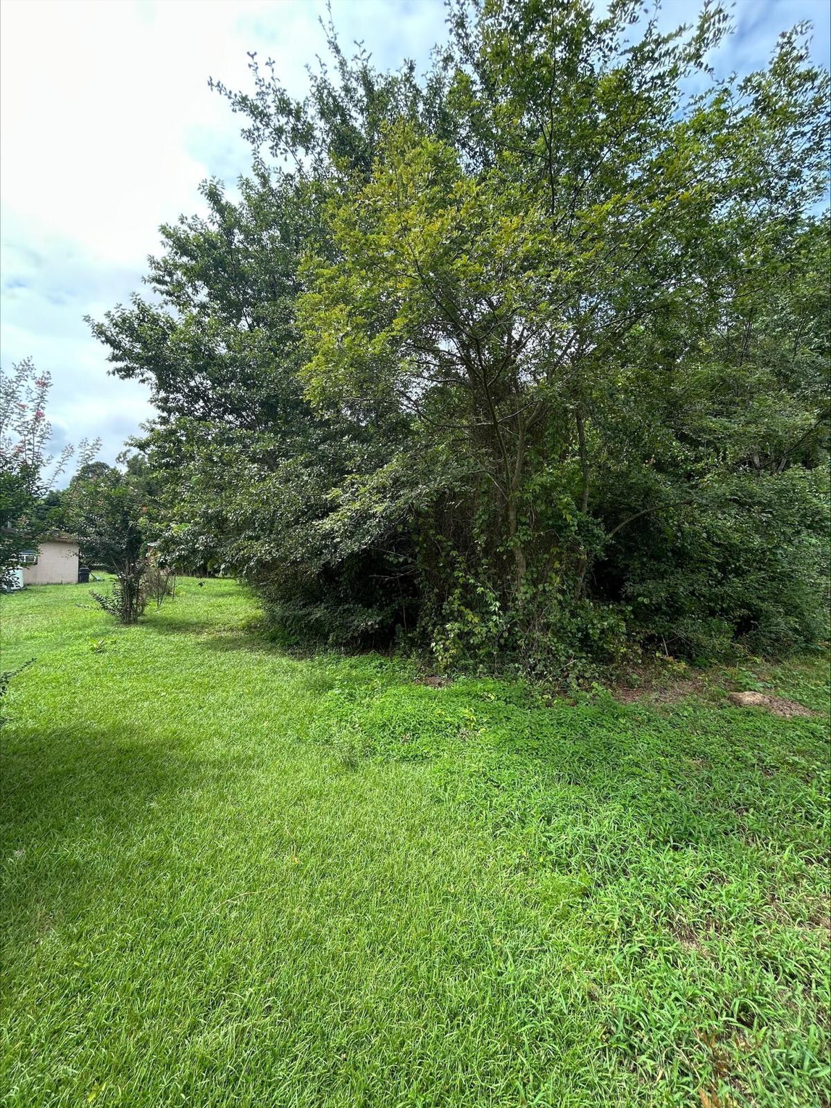 0 Hall Street Summerton, SC 29148 - Photo 5 of 6 20260226143906442688000000-o