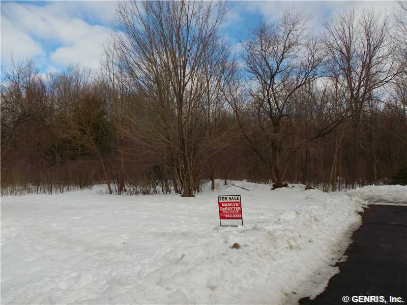 Land/Lot.