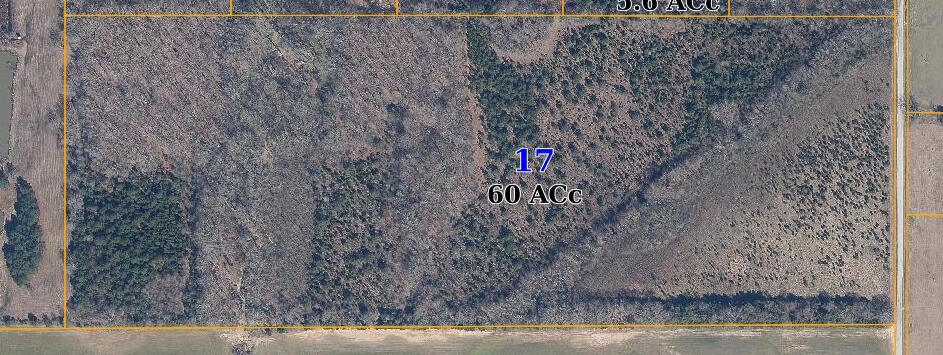 Prospect Road Nettleton, MS 38858 - Photo 1 of 1 Gallery Image 1