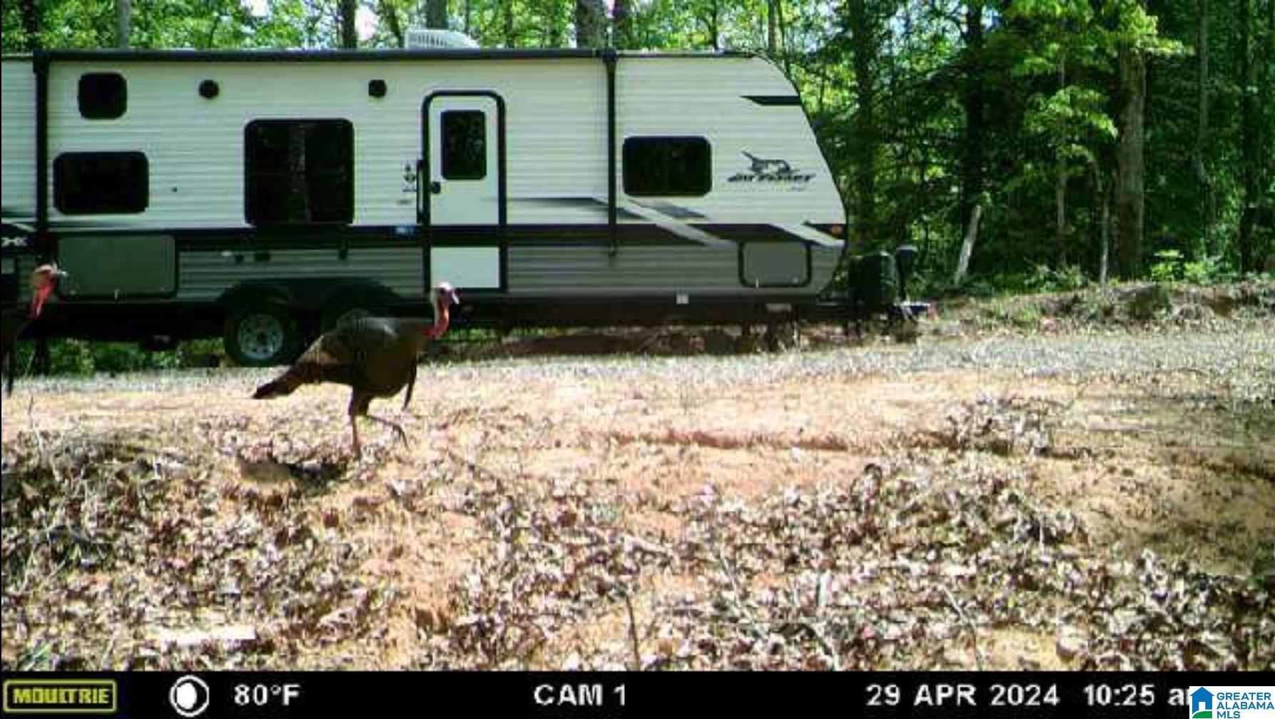 2 County Road 2, Unit 50 / ACRES Double Springs, AL 35553 - Photo 20 of 79