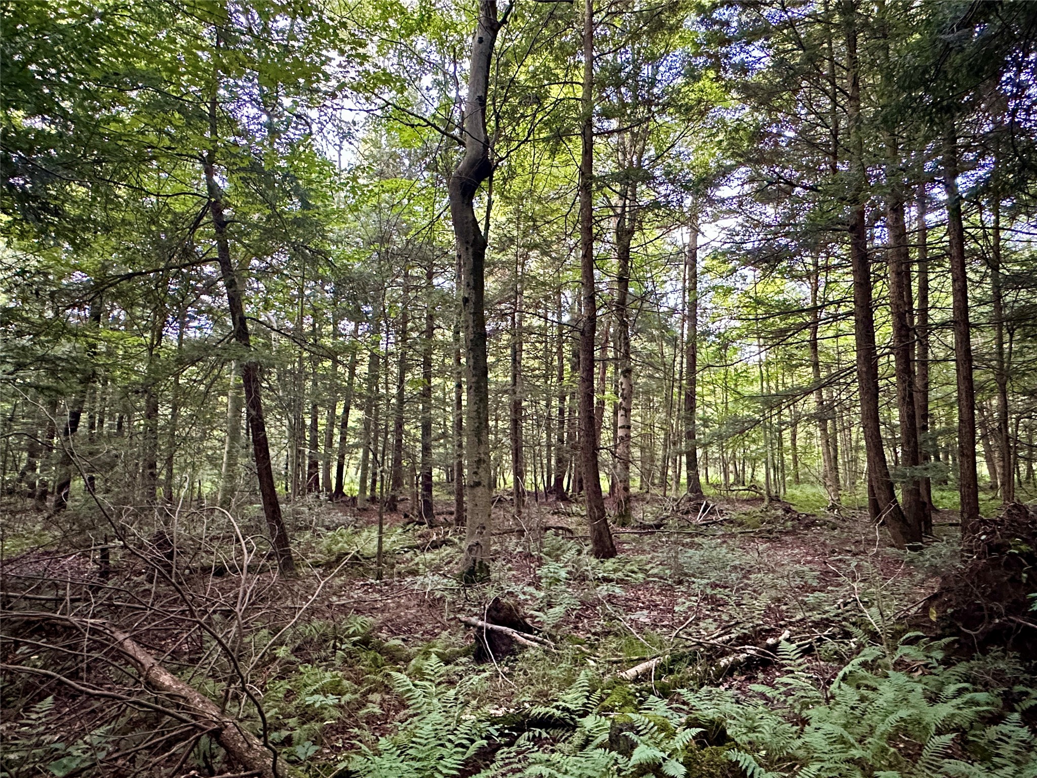 I79 Off Old State Road Edinboro, PA 16412 - Photo 13 of 16 Gallery Image 13