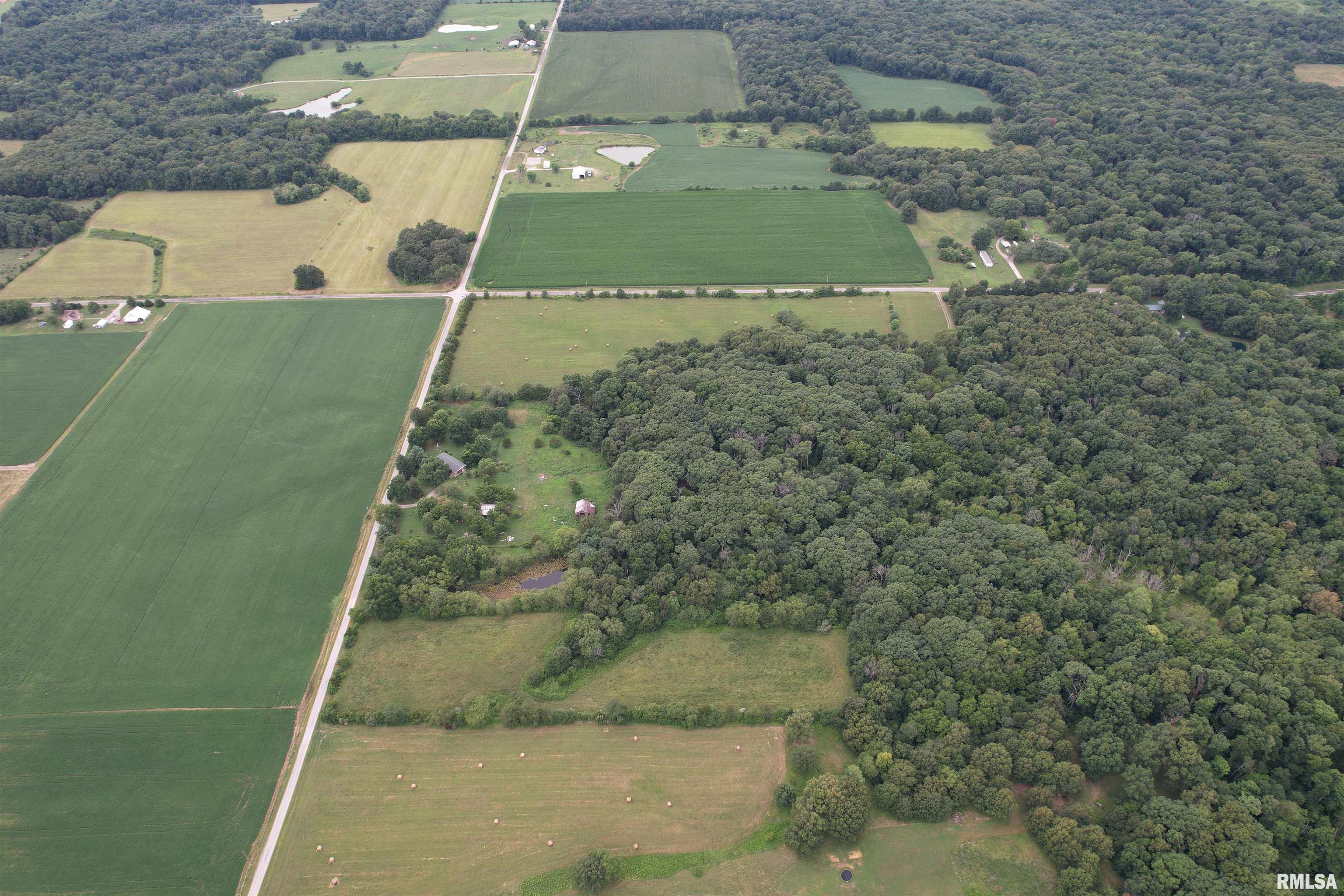 6851 Apple Ridge Road Iuka, IL 62849 - Photo 4 of 33