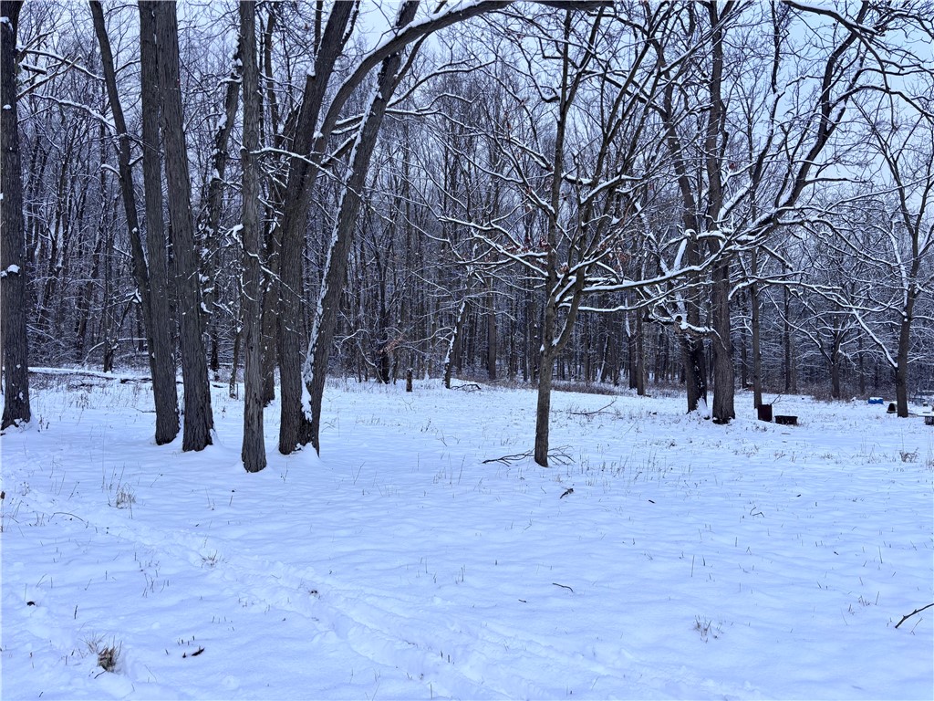 Sonyea Road Dansville, NY 14437 - Photo 1 of 7