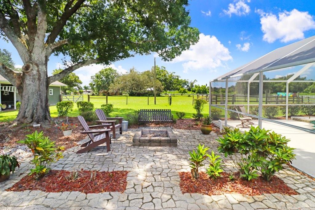 13221 Tom Gallagher Road Dover, FL 33527 - Photo 49 of 80 Gallery Image 49