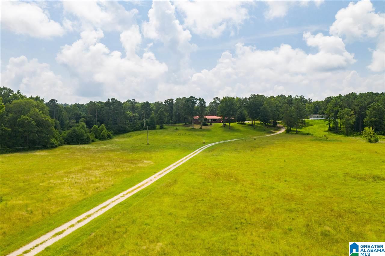 264 Adams Road West Blocton, AL 35184 - Photo 22 of 49