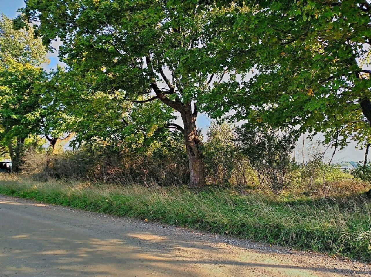 0 East Knoll Road Portland, MI 48875 - Photo 7 of 10 Street View