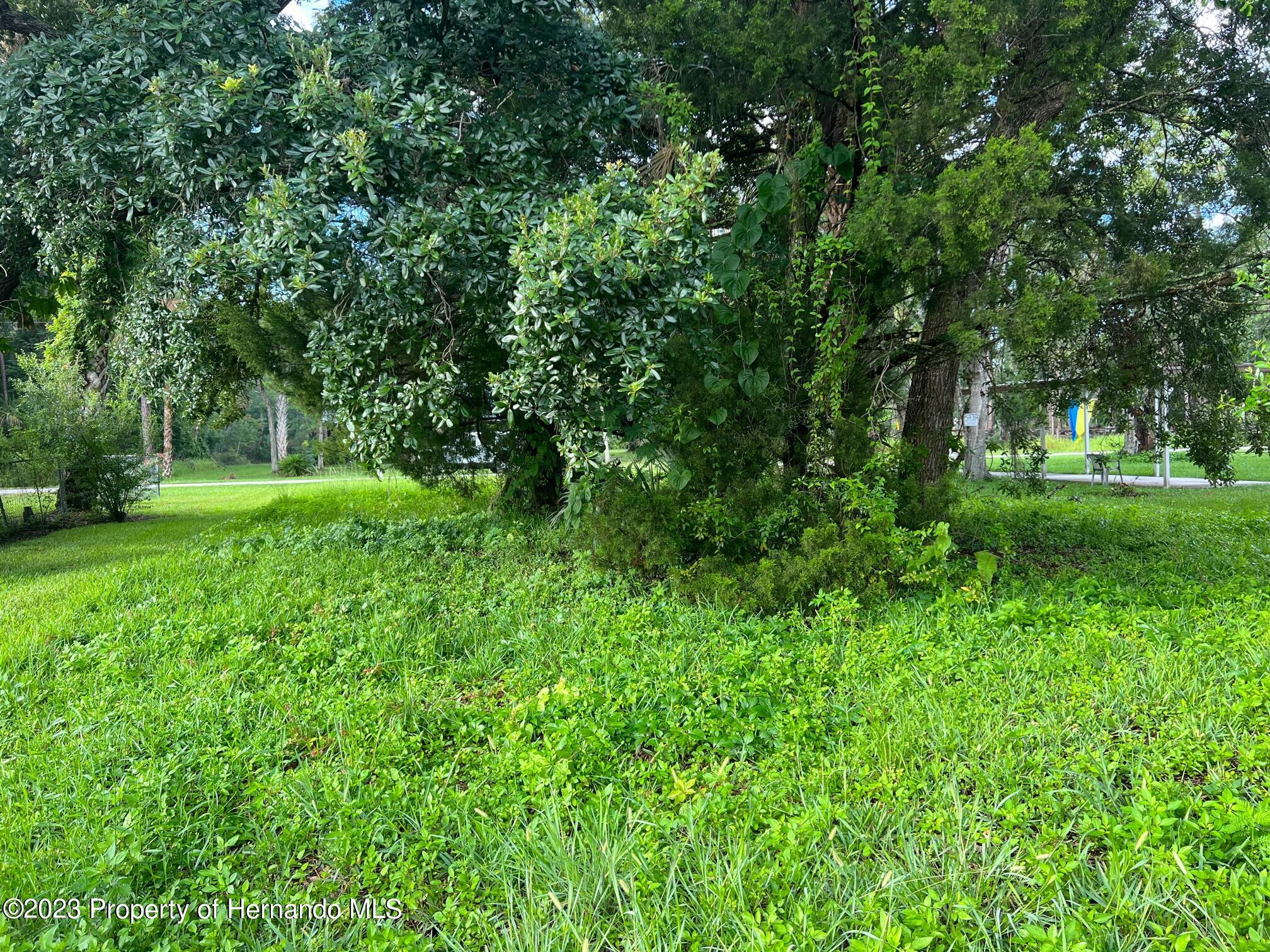 6049 Colony Circle Weeki Wachee, FL 34607 - Photo 4 of 17