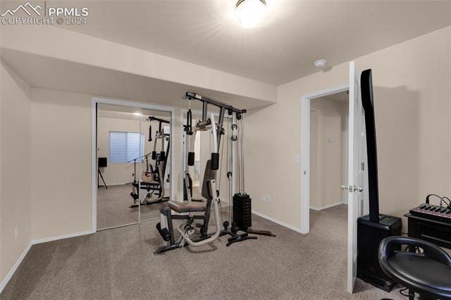 4663 Fencer Road Colorado Springs, CO 80911 - Photo 28 of 38
