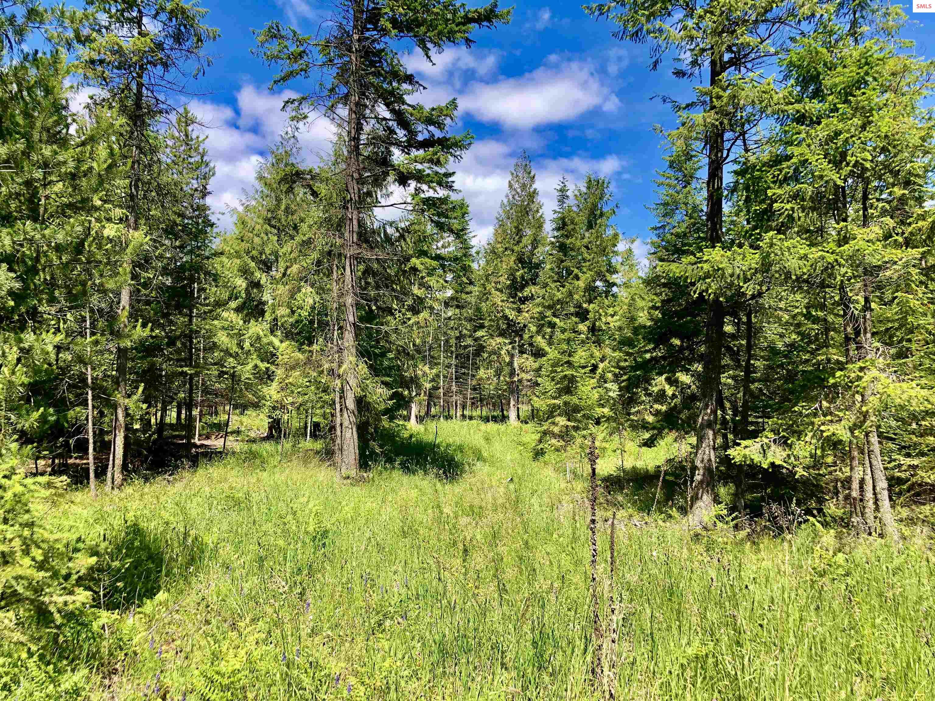 4 Lost Mile Road Naples, ID 83847 - Photo 5 of 37