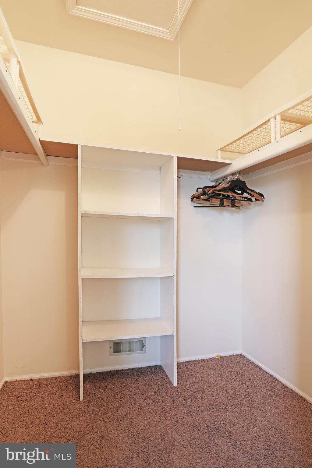19 Chelsea Court Sewell, NJ 08080 - Photo 13 of 19 a view of walk in closet with empty racks
