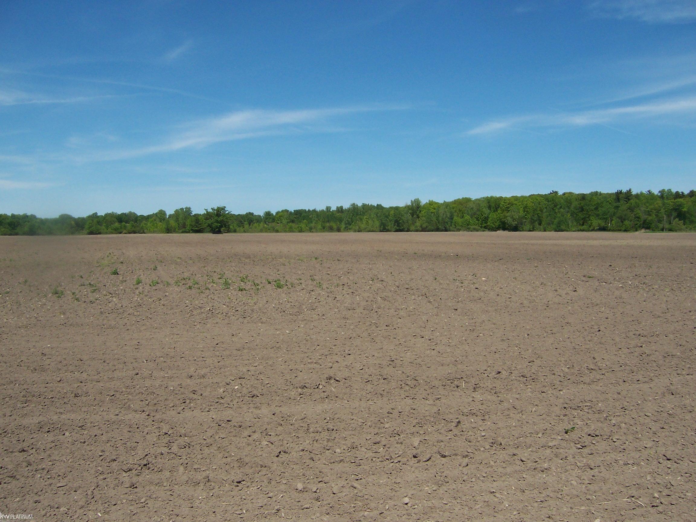 Lot 4 Lapeer Road Smiths Creek, MI 48074 - Photo 2 of 2
