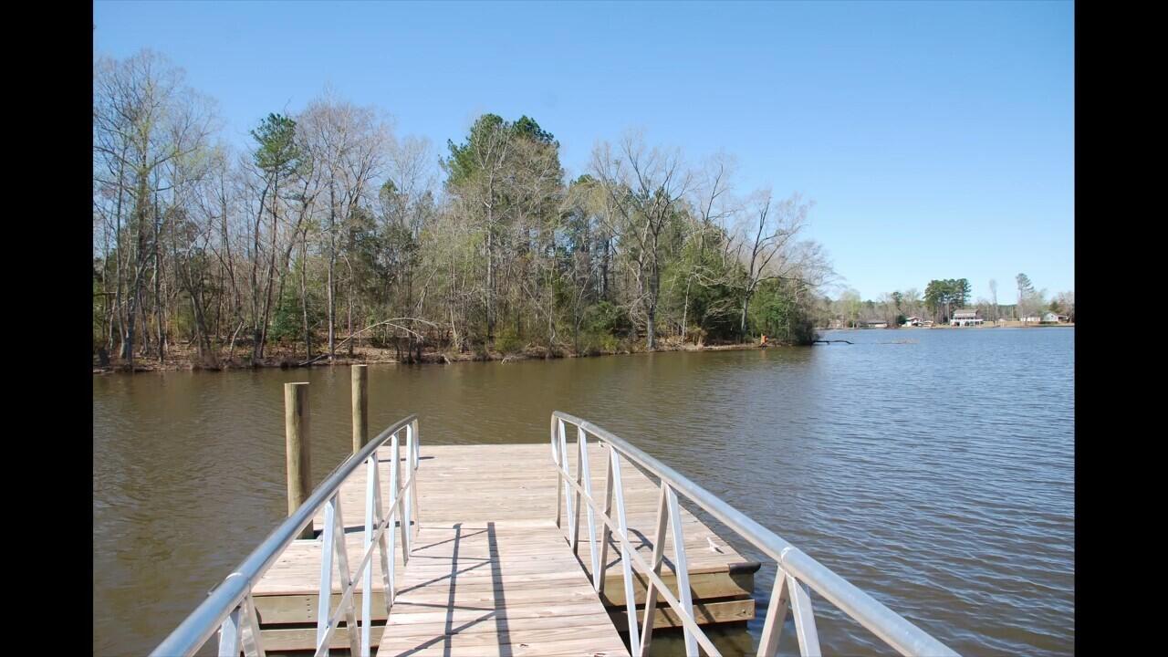 159 Longview Drive Leesville, SC 29070 - Photo 14 of 33 modern farmhouse palmetto pointe vicki 0
